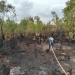 5a0be4f4-e37d-4400-8ecd-dcfc88659d58