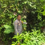 IMG-20260411-WA0005
