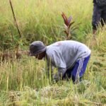 photo_2026-04-07-11.43.55-1536x1024