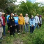 Panen Raya di Pulau Laut Timur, Bupati Kotabaru Janji Masifkan Program Pertanian Hulu-Hilir IMG-20260524-WA0022