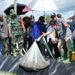 Menggiurkan! Kotabaru Sulap Lahan Tidur Jadi Tambak Udang Modern, Dongkrak Ekonomi Warga IMG-20260524-WA0036