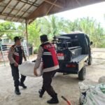 Jaminan Pasar Jagung Tabalong: Polisi Siap Borong Berapa Pun Hasil Panen Petani Compress_20260617_154902_2201