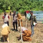 Siasat Polsek Bintang Ara Pacu Swasembada Pangan di Lahan Rawan Kemarau Tabalong IMG-20260602-WA0026