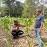 Siasat Air Pompa Poktan Panca Warga Tabalong Demi Kejar Target Panen Jagung RK 19 IMG-20260608-WA0011