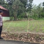 Menantang Langit Banua Lawas: Asa Swasembada Jagung Tabalong di Tengah Bayang-Bayang Kekeringan IMG-20260611-WA0014