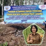 Menakar Asa Mandiri Pangan dari Tepian Puruk Cahu Seberang IMG-20260611-WA0019