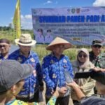 Mengubah Rawa Jadi Lumbung: Padi Apung Tapin Tembus 6,5 Ton, Provinsi Kucurkan Rp834 Juta! IMG_20260618_041948