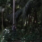 d09e9bed-0f38-40ca-9c57-7ef02d1895ba-1536x827