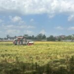 Kekeringan Ancam Pertanian Kalsel, 6.691 Hektare Sawah Terdampak hingga Akhir Juli 2026 IMG_4444-1536x1152