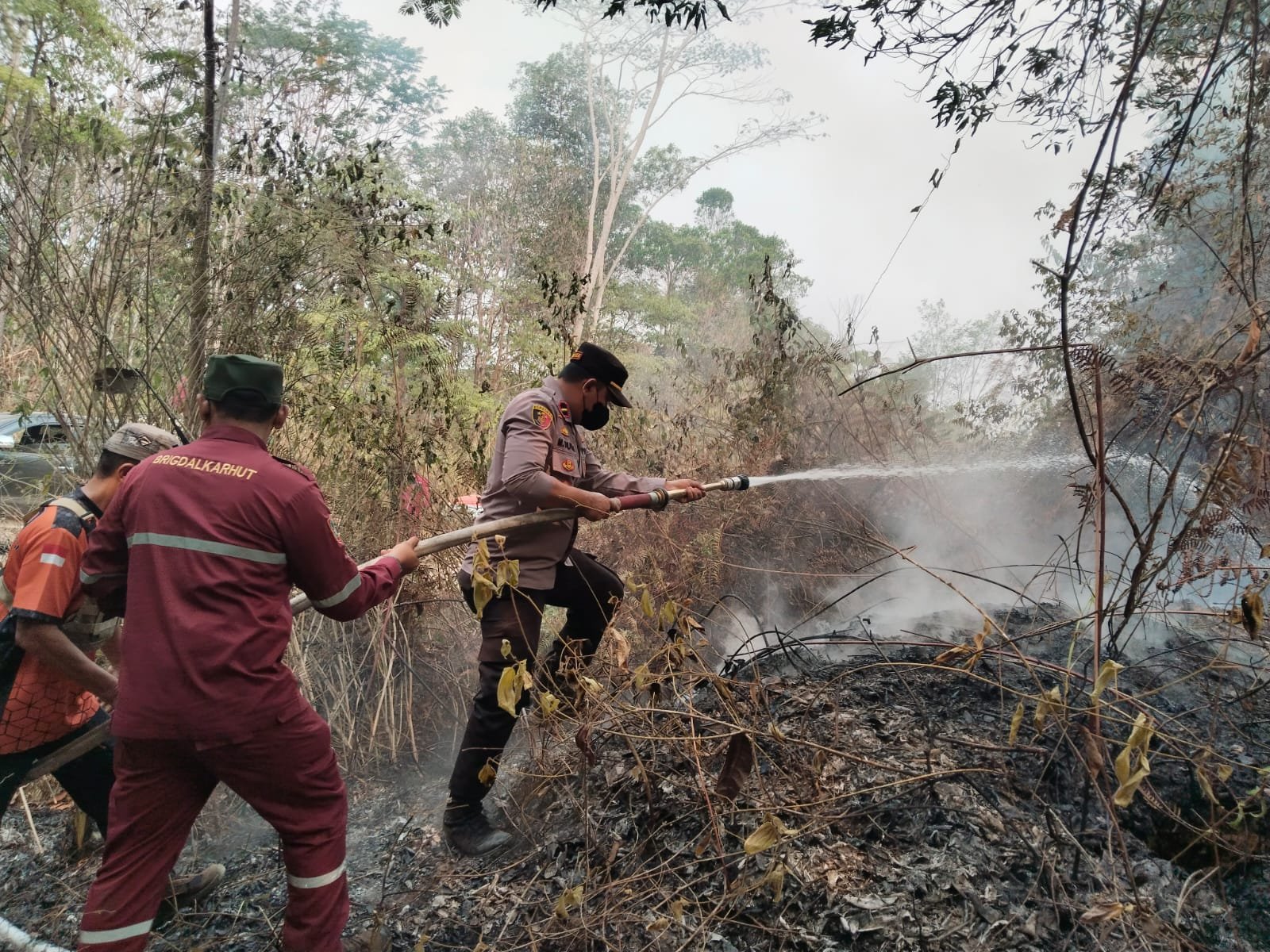 Tembus Medan Sulit Perbatasan Kalsel-Kaltim, Tim Gabungan Padamkan Karhutla di Salikung